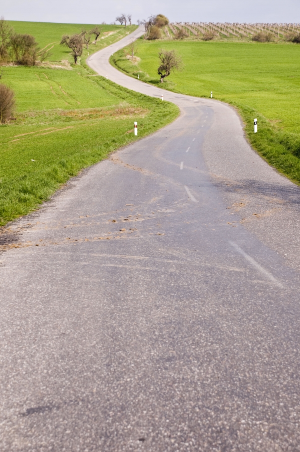 Creation of A Goat in the Road!: Step 1